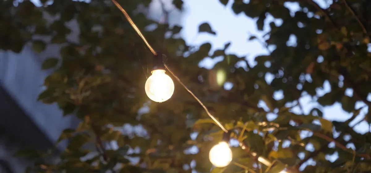 Warm leuchtende Lichterkette zwischen grünen Blättern in der Abenddämmerung.